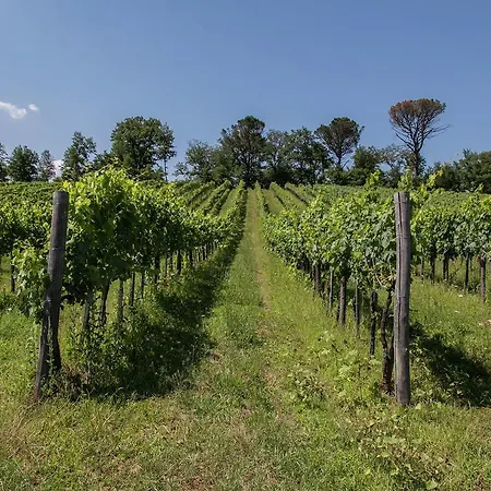 Attractively Furnished On A Large Estate In The Chianti Region Bucine