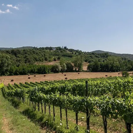 Holiday home Attractively Furnished On A Large Estate In The Chianti Region